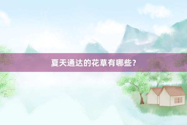 夏天通达的花草有哪些？