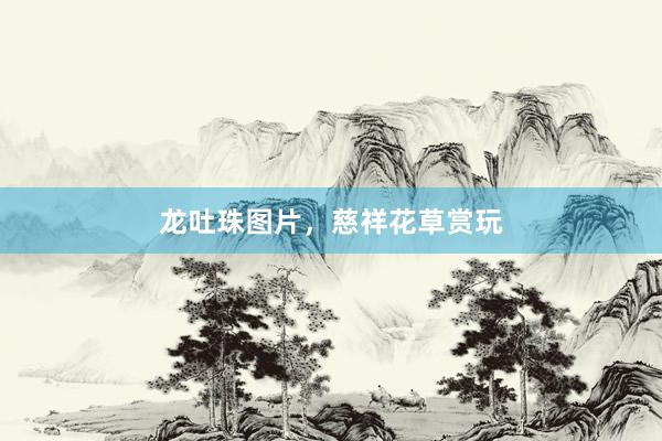 龙吐珠图片，慈祥花草赏玩
