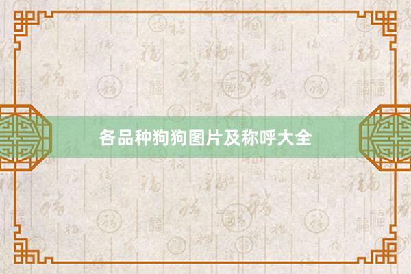 各品种狗狗图片及称呼大全