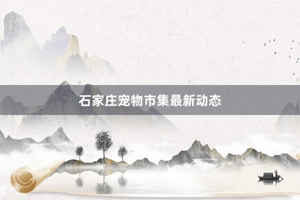 石家庄宠物市集最新动态